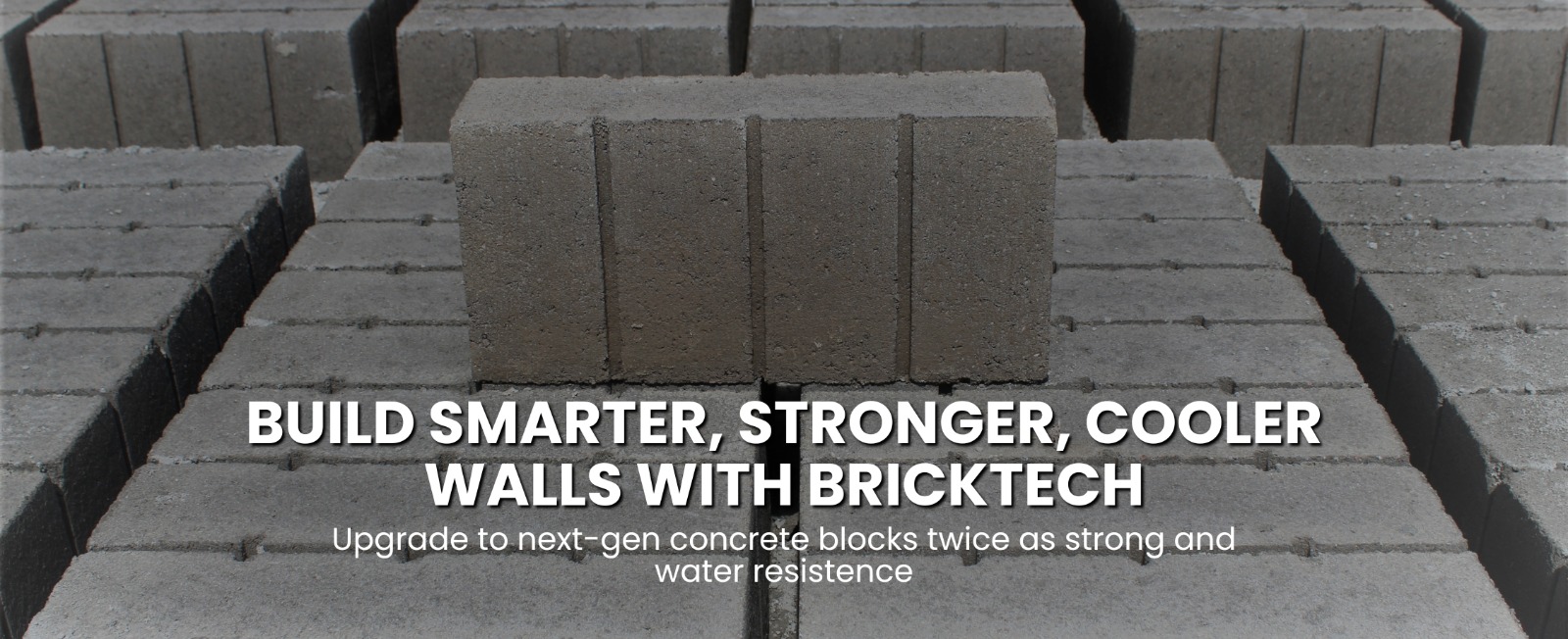 WhatsApp Image 2025-12-26 at 15.50.48